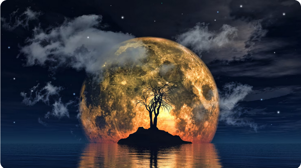 Screenshot 2026 01 14 at 20 40 32 Spooky tree against a big moon Free Photo