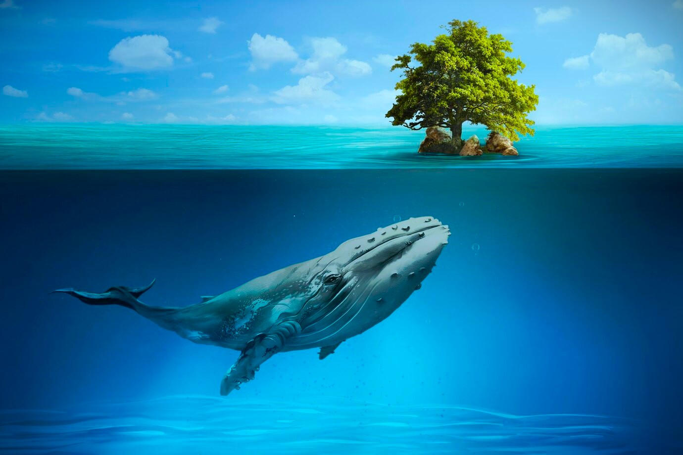 The Parable of the Fire Mount and the Whale